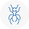 Ant Removals In Codsall