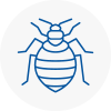 Bed Bug Extermination In Codsall
