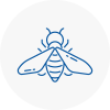 Bee Nest Removal Codsall
