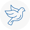 Bird Prevention Codsall