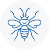 Codsall Hornet Nest Removals