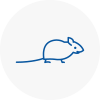Mice Exterminators In Codsall