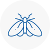 Moth Control Specialists In Codsall