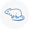 Rat Control Codsall