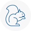 Codsall Rodent Removals